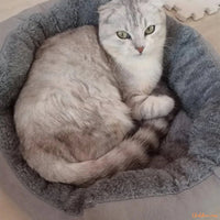 CHAT-GRIS-DANSU-UN-Coussin-chat-CoconFelin