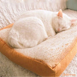 Coussin pour chat | Toastybed™ chat doux