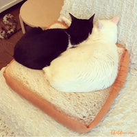 Coussin pour chat | Toastybed™ chat doux