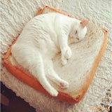 Coussin pour chat | Toastybed™ chat doux