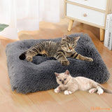 Lit-pour-chat-confortable-pinKat