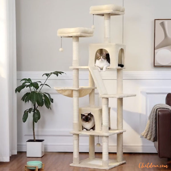 arbre-a-chat-toptry