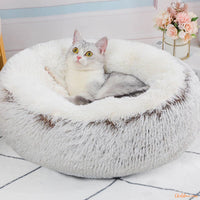 chat-dans-un-Coussin-chat-DouxNuage