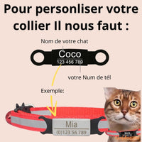 Collier chat - peosonalisé chatdoux