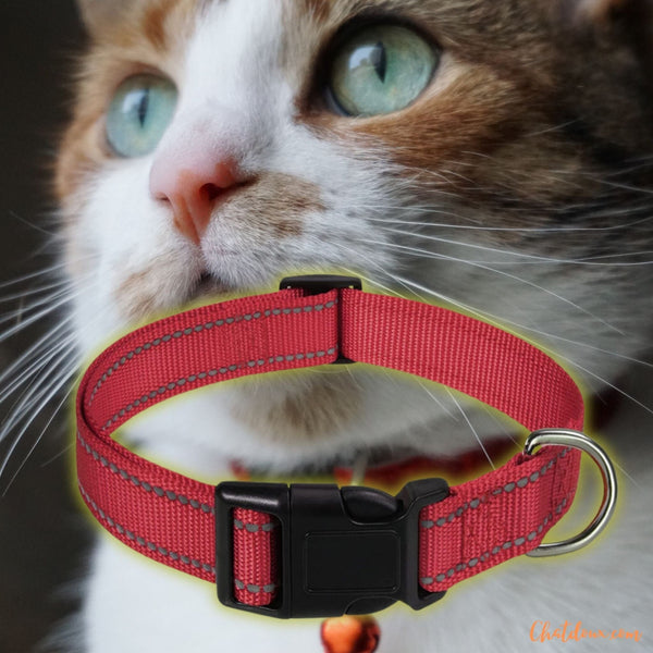 Collier-chat -rouge