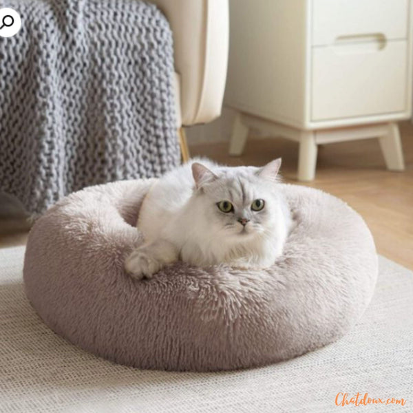 coussin-pour-chat-beige-confortable