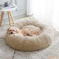 coussin-pour-chat-beige-pour-petit-chien