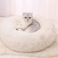 Coussin pour chat - Beige chat doux