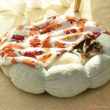 coussin-pour-chat-chaud-Greenflower