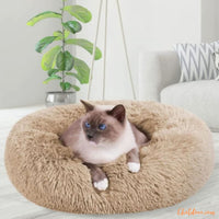 Coussin pour chat - Beige chat doux