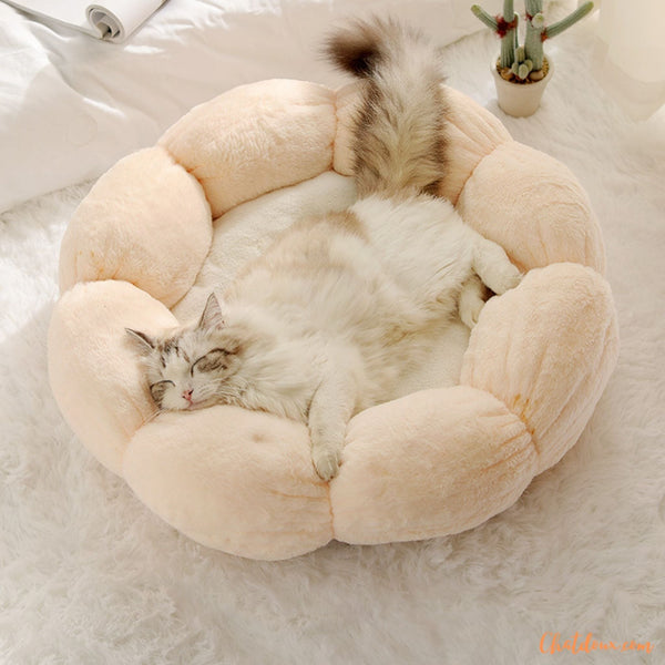 coussin-pour-chat-confortable-creamflower