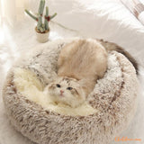 coussin-pour-chat-confortable