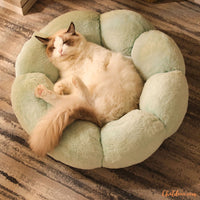 coussin-pour-chat-drole-Greenflower