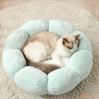 coussin-pour-chat-moelleux-Greenflowerjpg