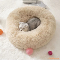 Coussin pour chat - Beige chat doux