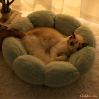 coussin-pour-chat-sommeil-reparateur-Greenflower