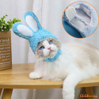 deguisement-pour-chat-lapin-bleu