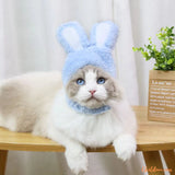 deguisement-pour-chat_chapeau-bleu