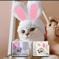 deguisement-pour-chat_chapeau-lapin-blanc