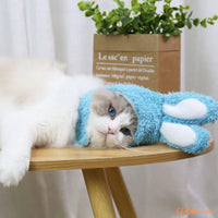 deguisement-pour-chat_chapeau-lapin-bleu