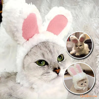 deguisement-pour-chat_chapeau-lapin