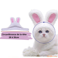 deguisement-pour-chat_chapeau-taille