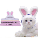 deguisement-pour-chat_chapeau-taille