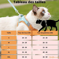 harnais_chat_tableau_des_tailles