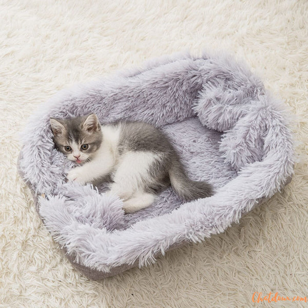 panier-pour-chaton-confortable