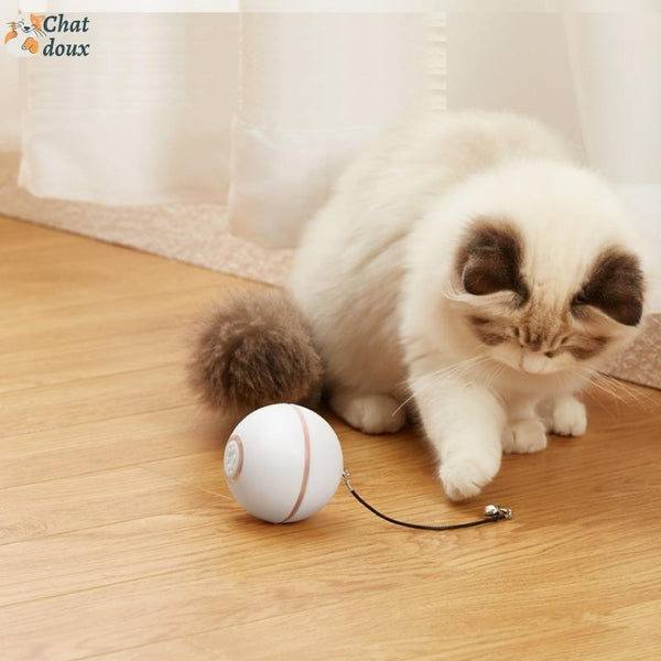 Jouet interactif pour chat - Balle de chat rechargeable par USB  intelligente - Jouet pour chat - Jouet auto-rotation - Cadeau（rose）