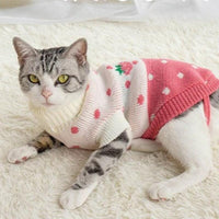 Pull pour chat | vetement pour chat - Puloch™ chat doux