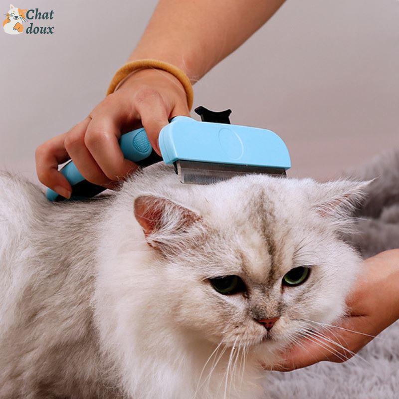 Brosse anti-poil avec support pour chat  Au Bonheur Du Chat – Au bonheur  du chat - Boutique d'accessoires pour votre chat et pour vous